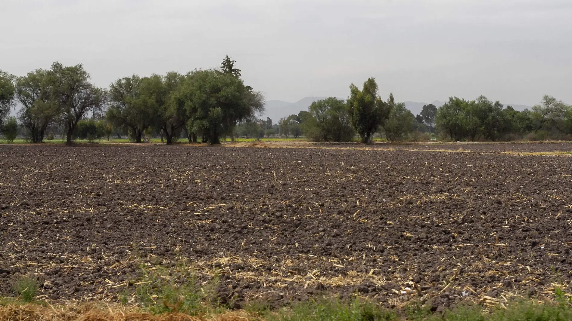 El campo de Tequisquiapan se encuentra en malas condiciones por ello se gestiona más